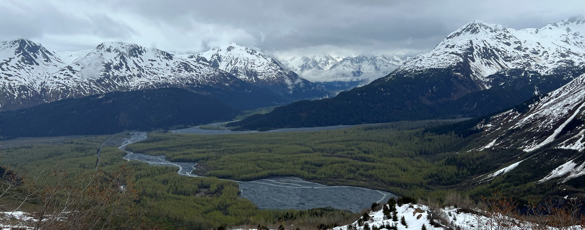 Seward Exit Glacier Valley